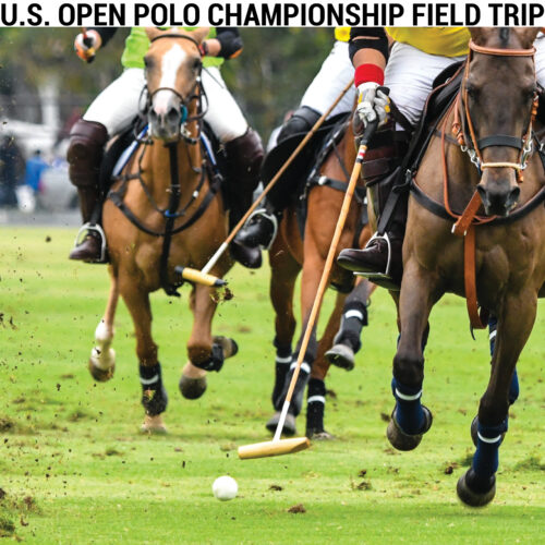 U.S Polo Championship Field Trip