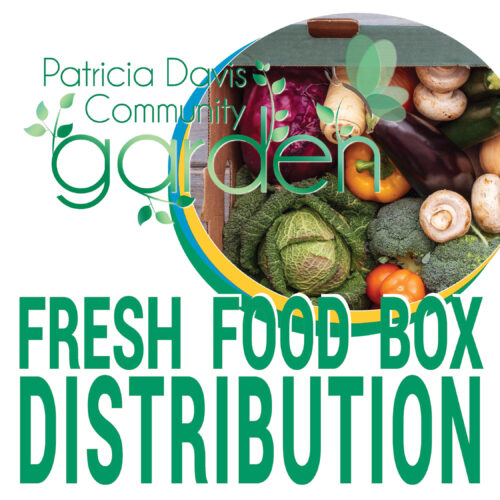 Fresh Food Box Distribution
