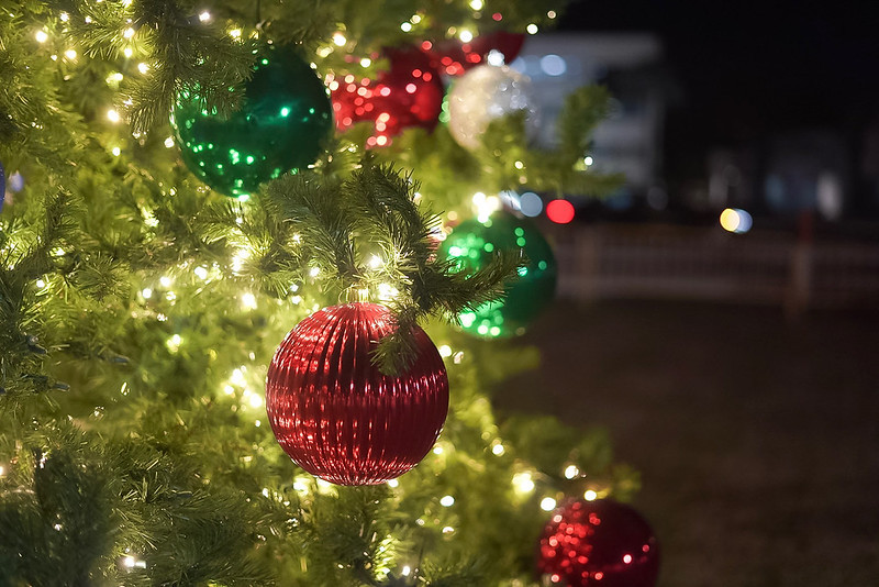 54189552609 4aaeabeae5 c 1