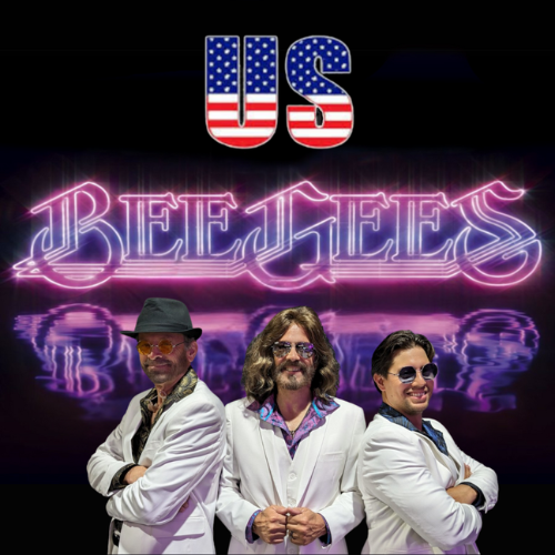 Bee gee 500 x 500