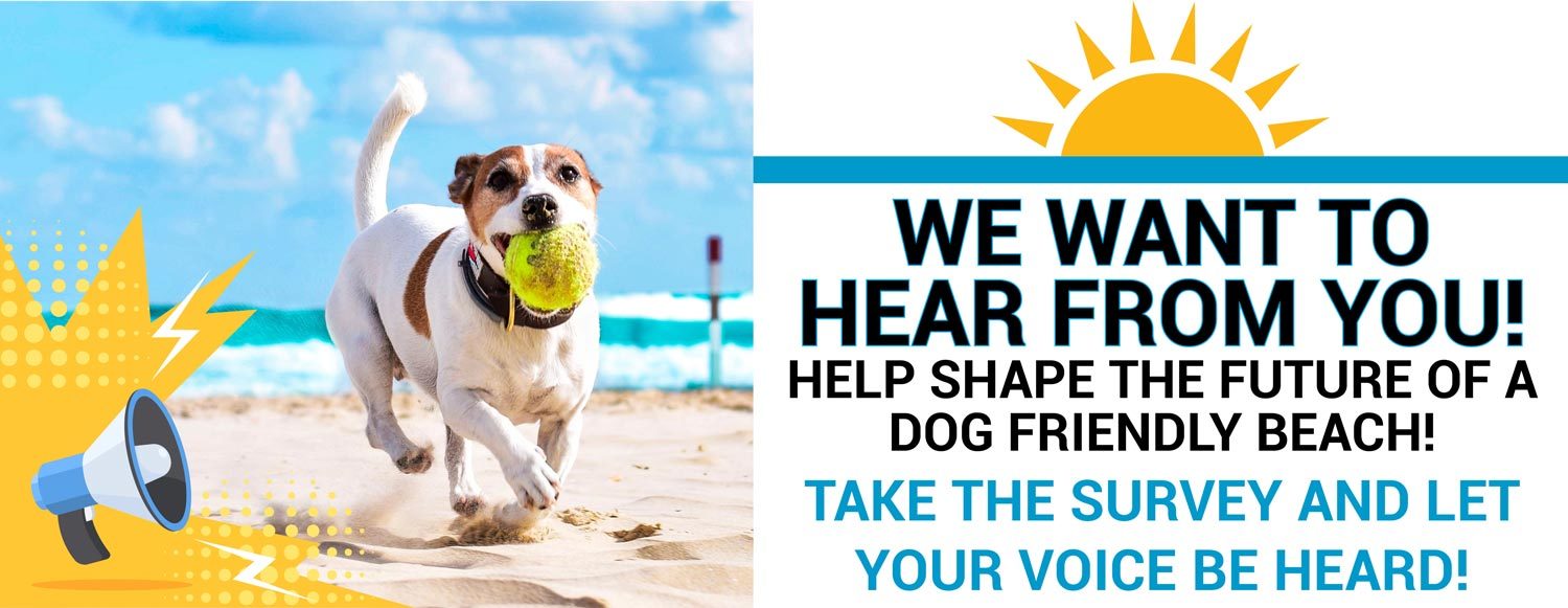 Dog Beach Survey Slider