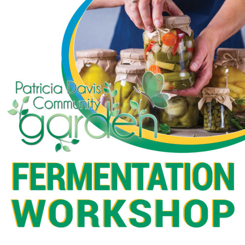 Fermentation Workshop