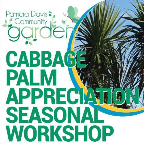 Cabbage Palm Workshop