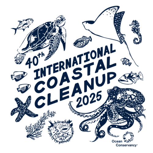 Coastal Clean Up