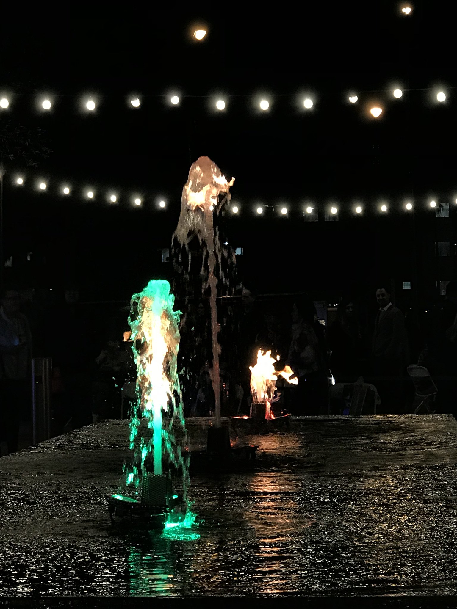 40342131681 4f24fd9930 k