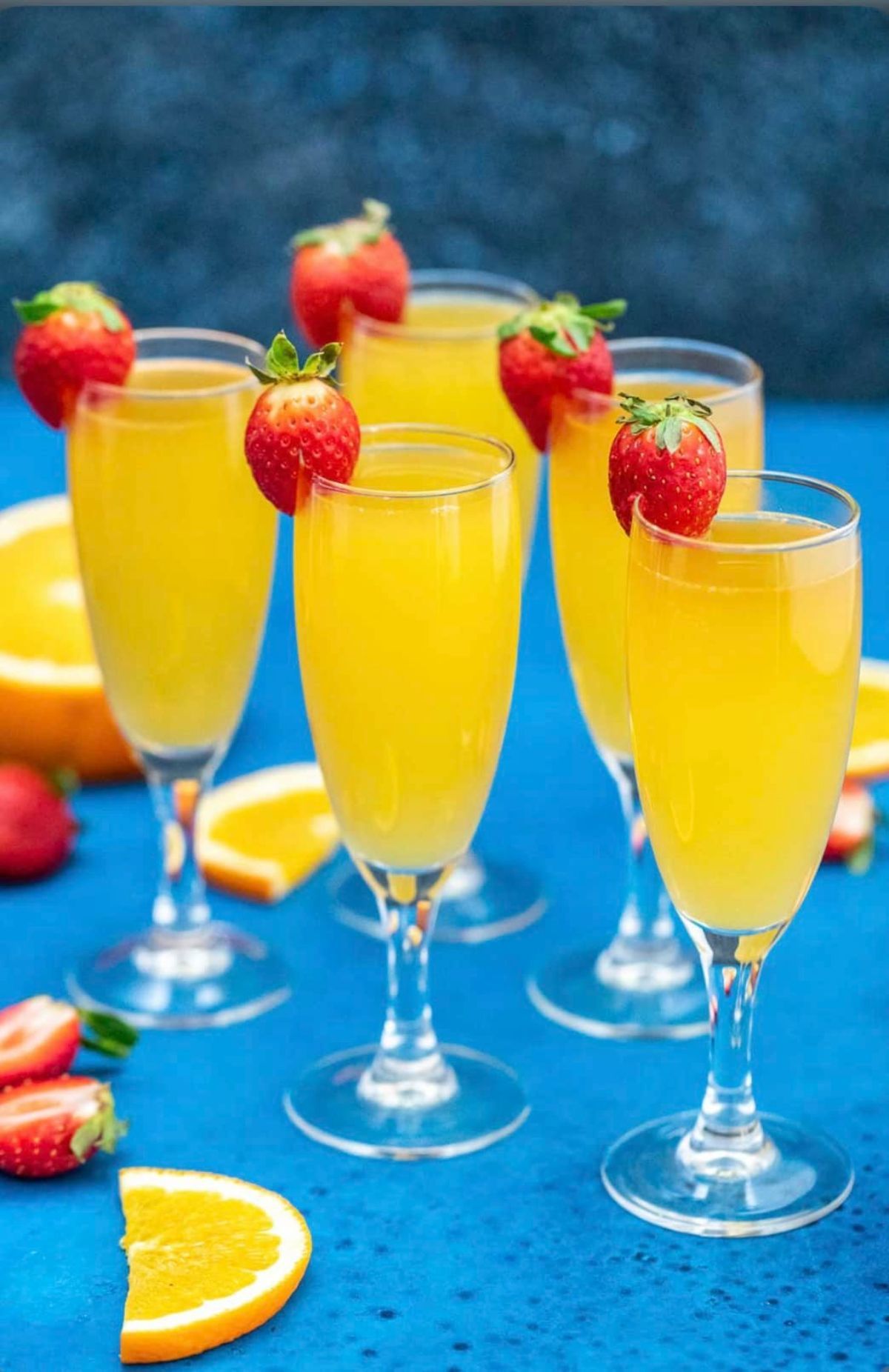 Vendor Spanx The Hog