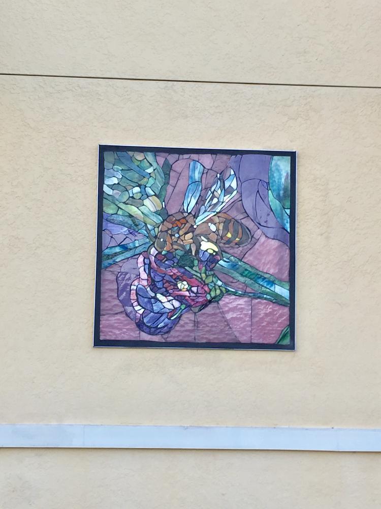 9 Ali Side Zoomed In