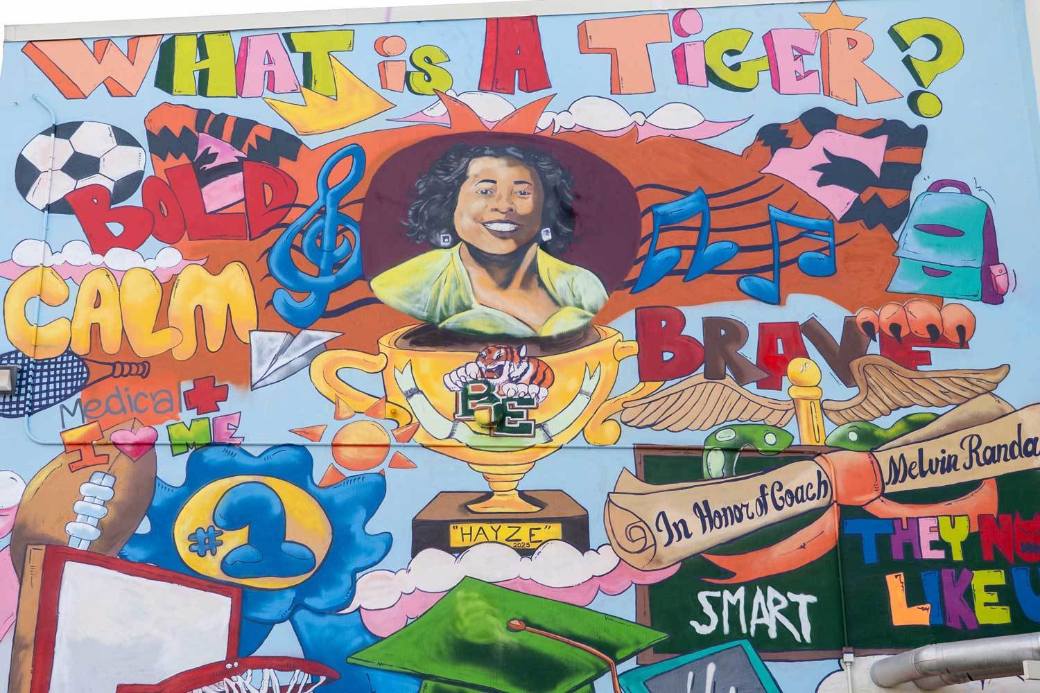 What is a tiger Image 4