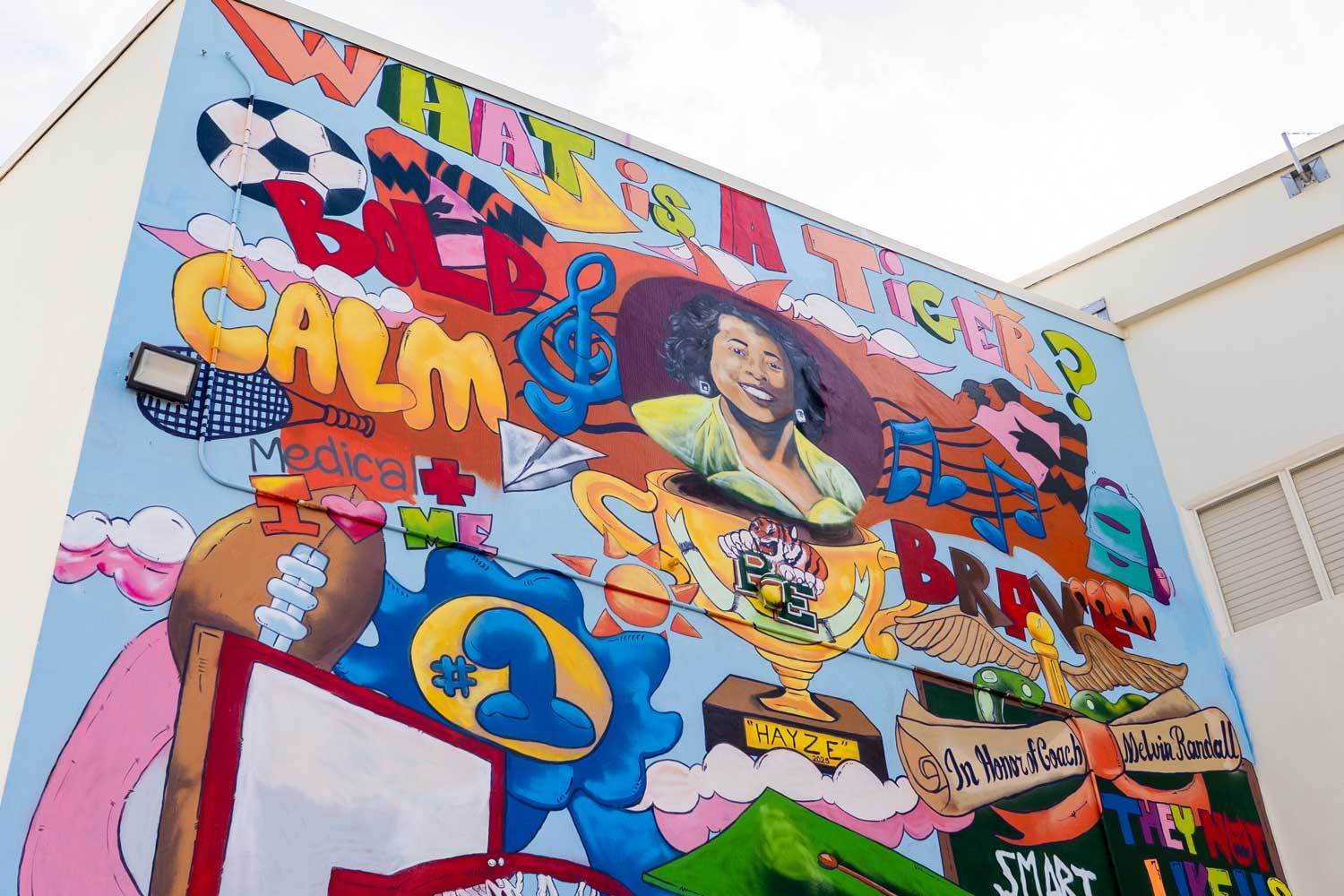 What is a tiger Image 1